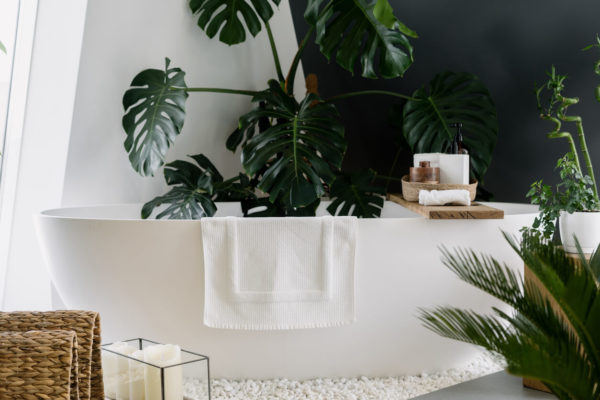decorate bathroom with plants