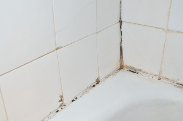 bathtub mold under liner